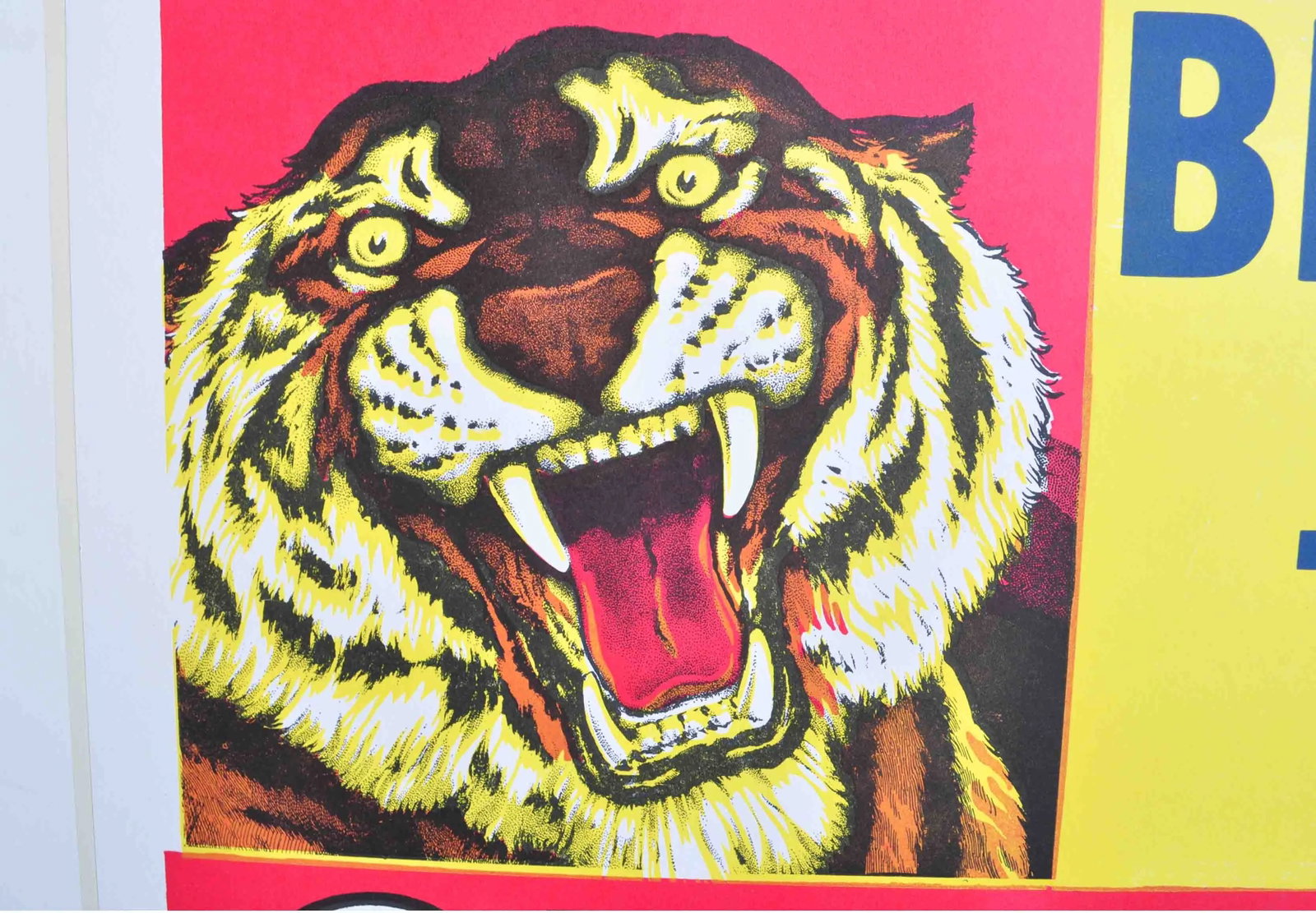 Clyde Beatty-Cole Bros. Circus Poster #1 - 2