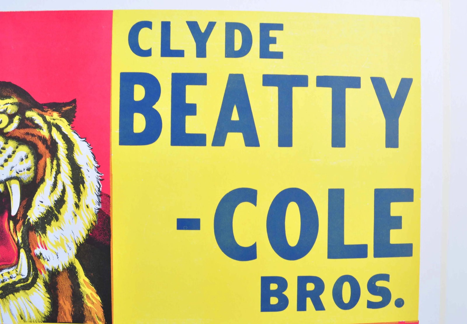Clyde Beatty-Cole Bros. Circus Poster #1 - 3
