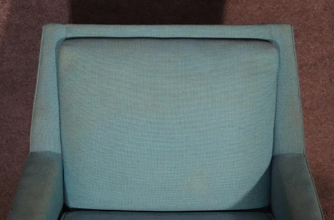 Mid 20th Century Vintage Selig Accent Chair - 11
