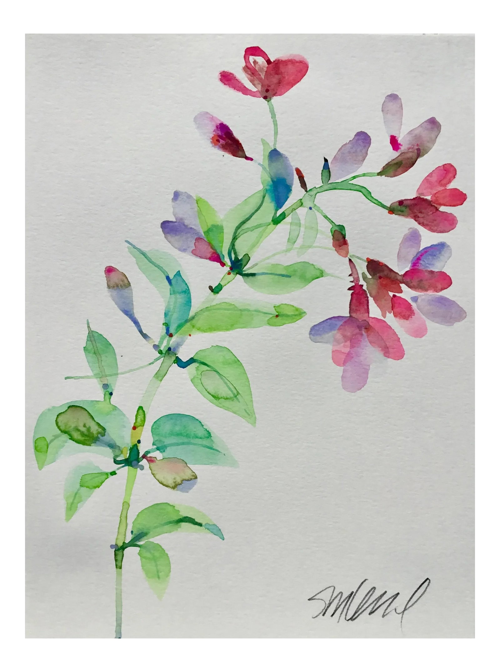Botanical 41, Original Watercolor, 9x12" (1 of 3)