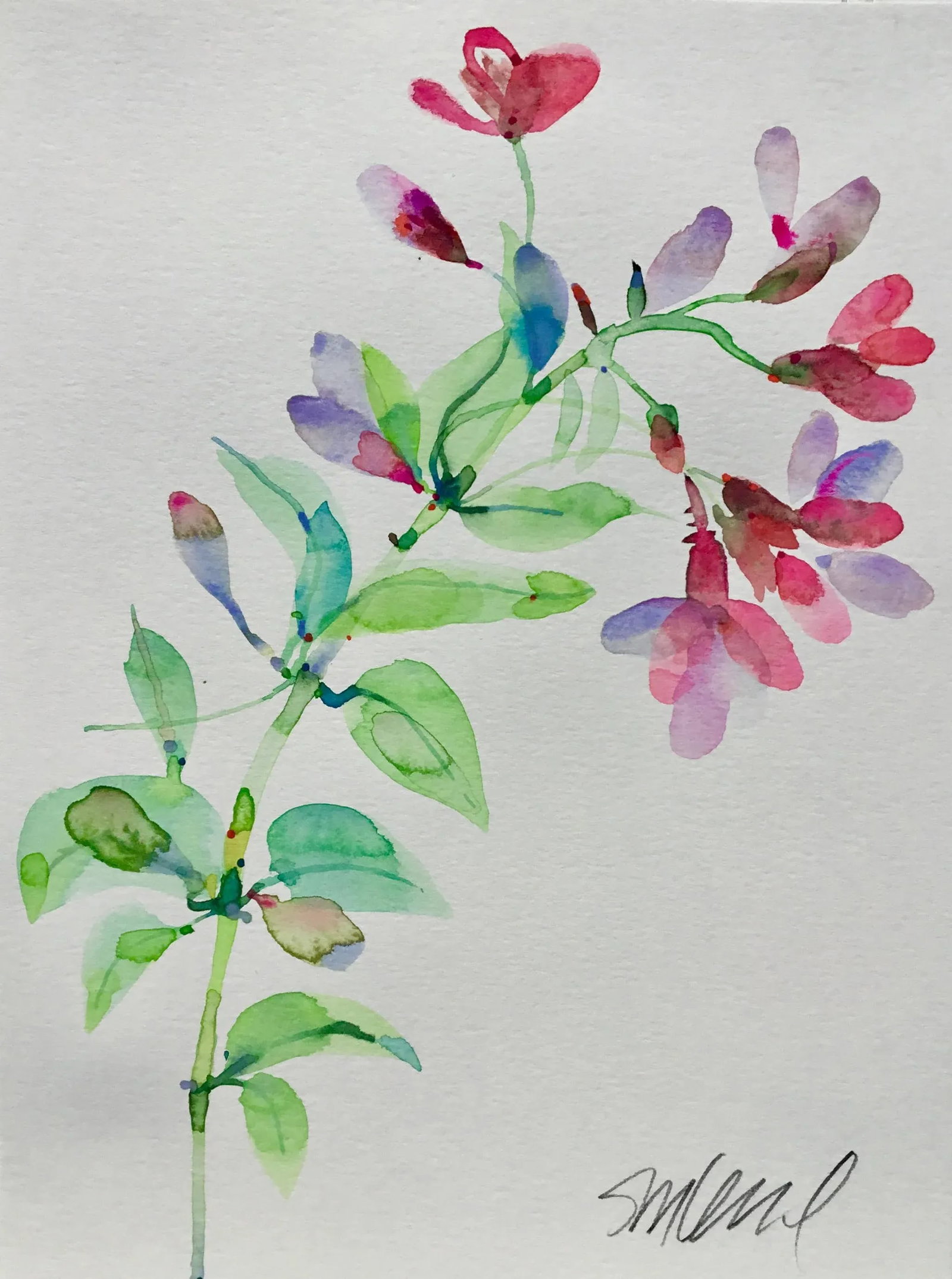 Botanical 41, Original Watercolor, 9x12" - 3