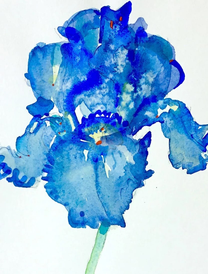 Ultra Iris Original Watercolor Painting - 2