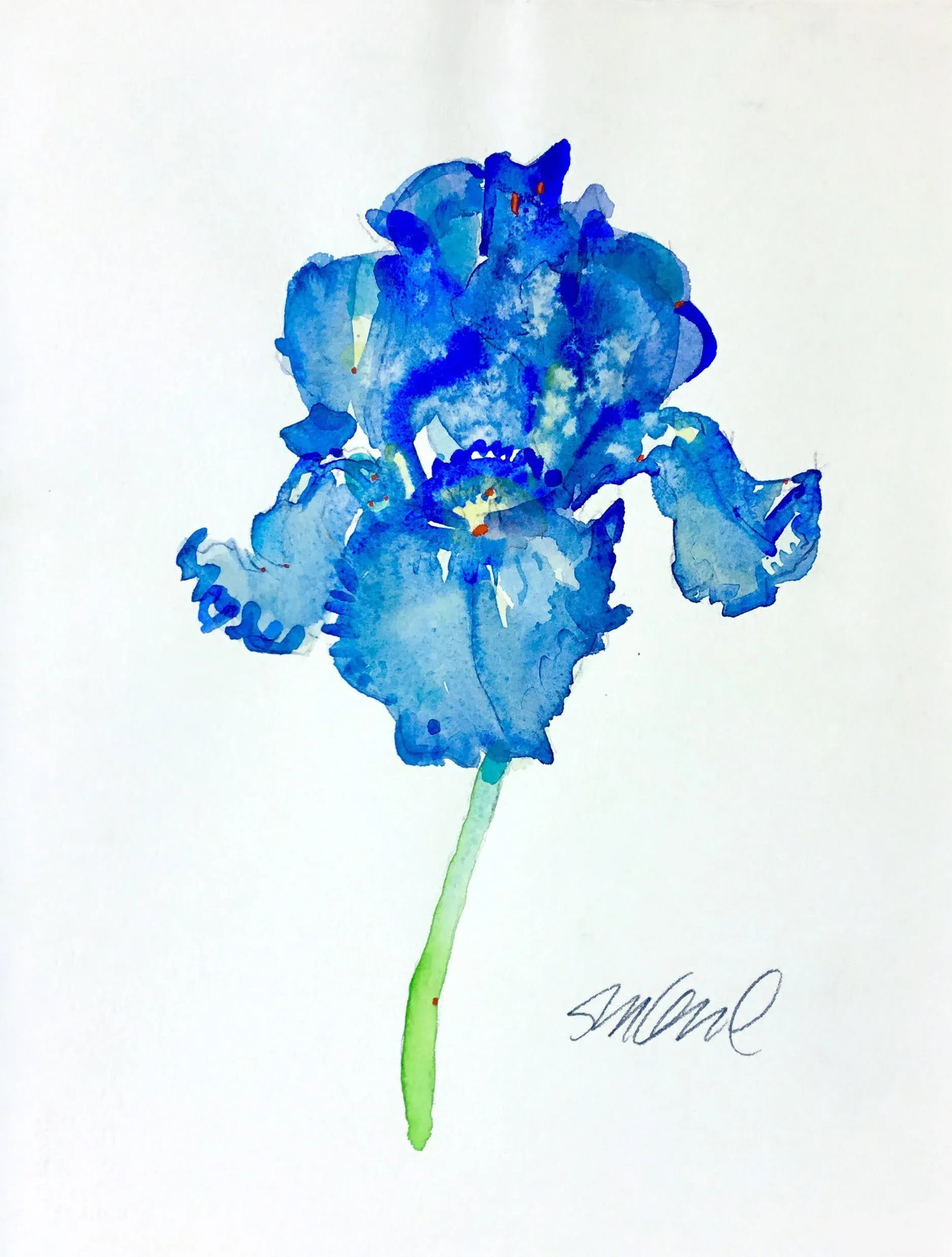 Ultra Iris Original Watercolor Painting - 3