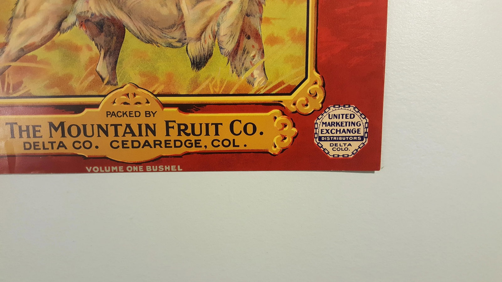 Old Reliable Brand Apple Crate Label C.1930 - 2