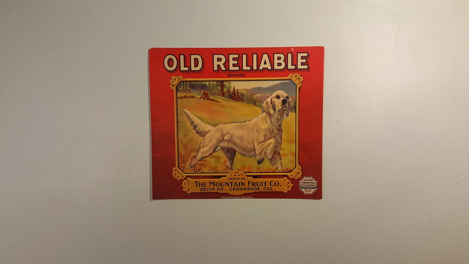 Old Reliable Brand Apple Crate Label C.1930 - 5