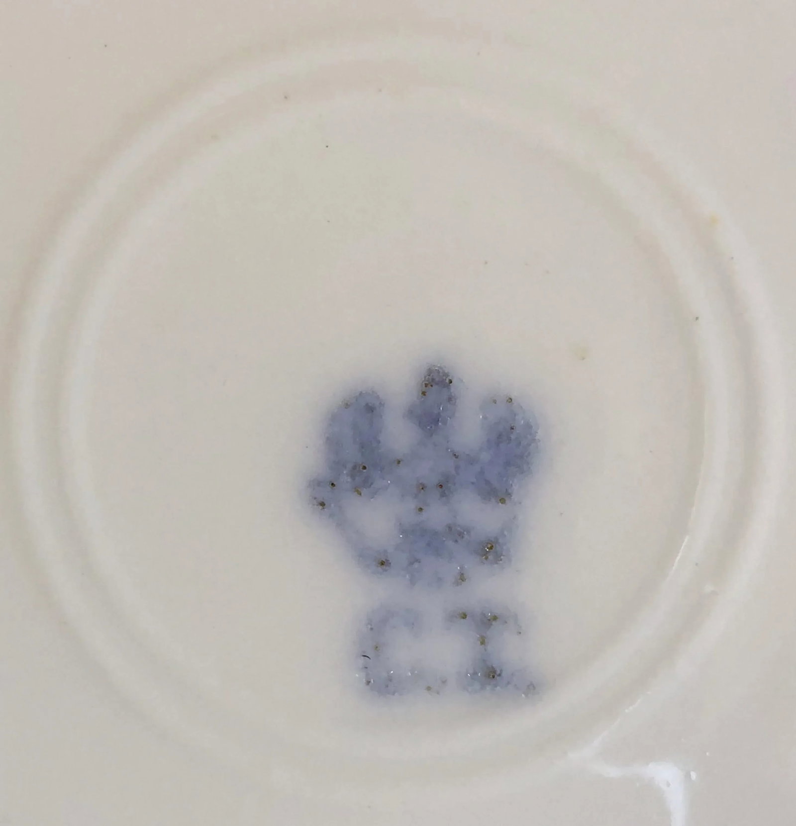 Continental Spring Floral Plates, Set of 5 - 4