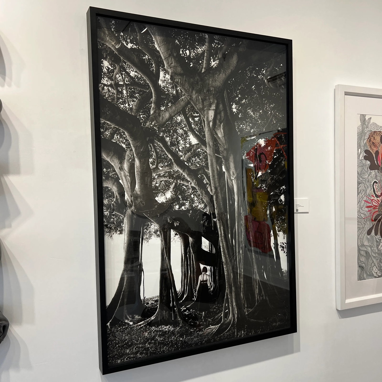 "Under the Banyan Tree" Black and White Original Photograph by Rob Brinson - 7