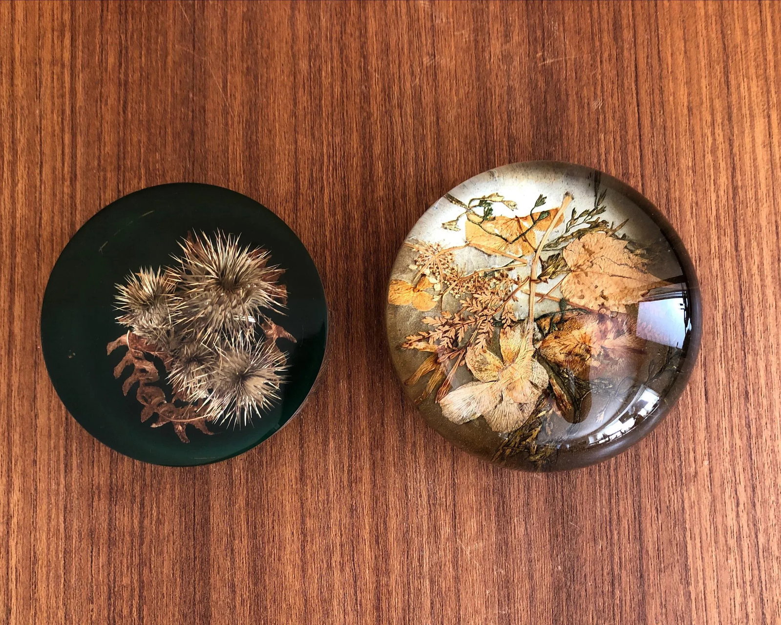 Autumnal Vintage Paperweights - a Pair - 11