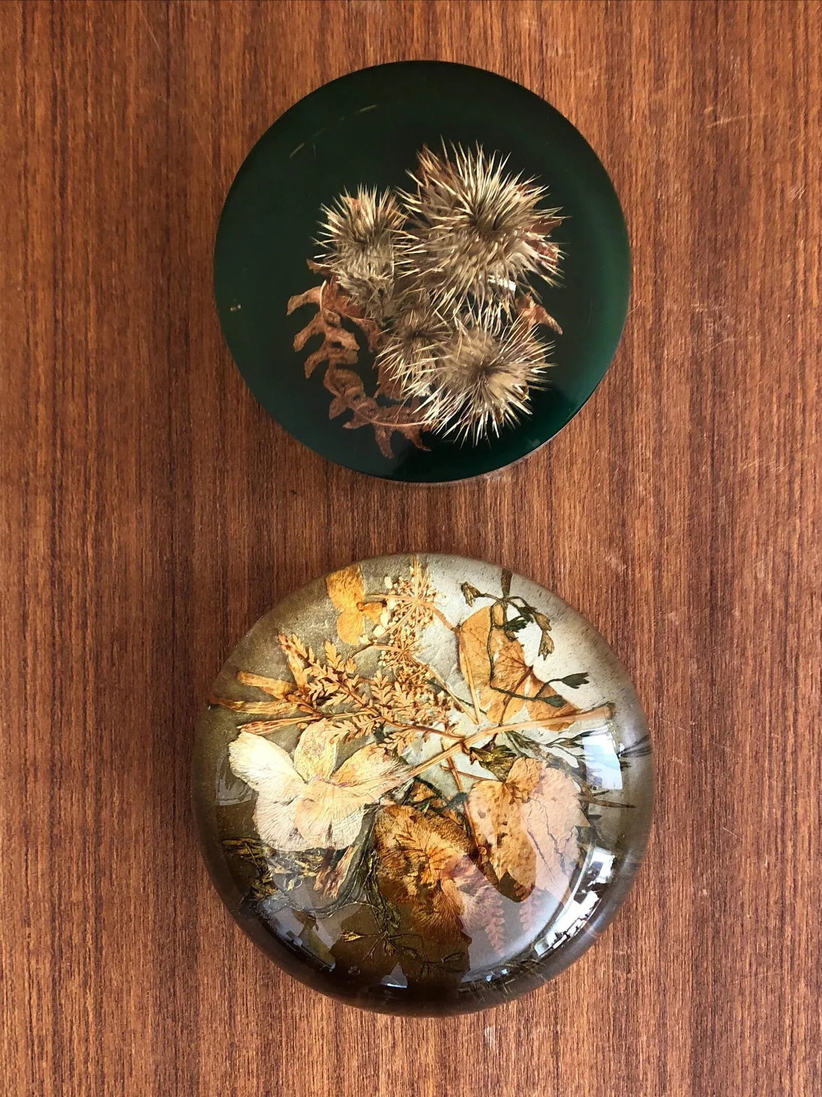 Autumnal Vintage Paperweights - a Pair - 2