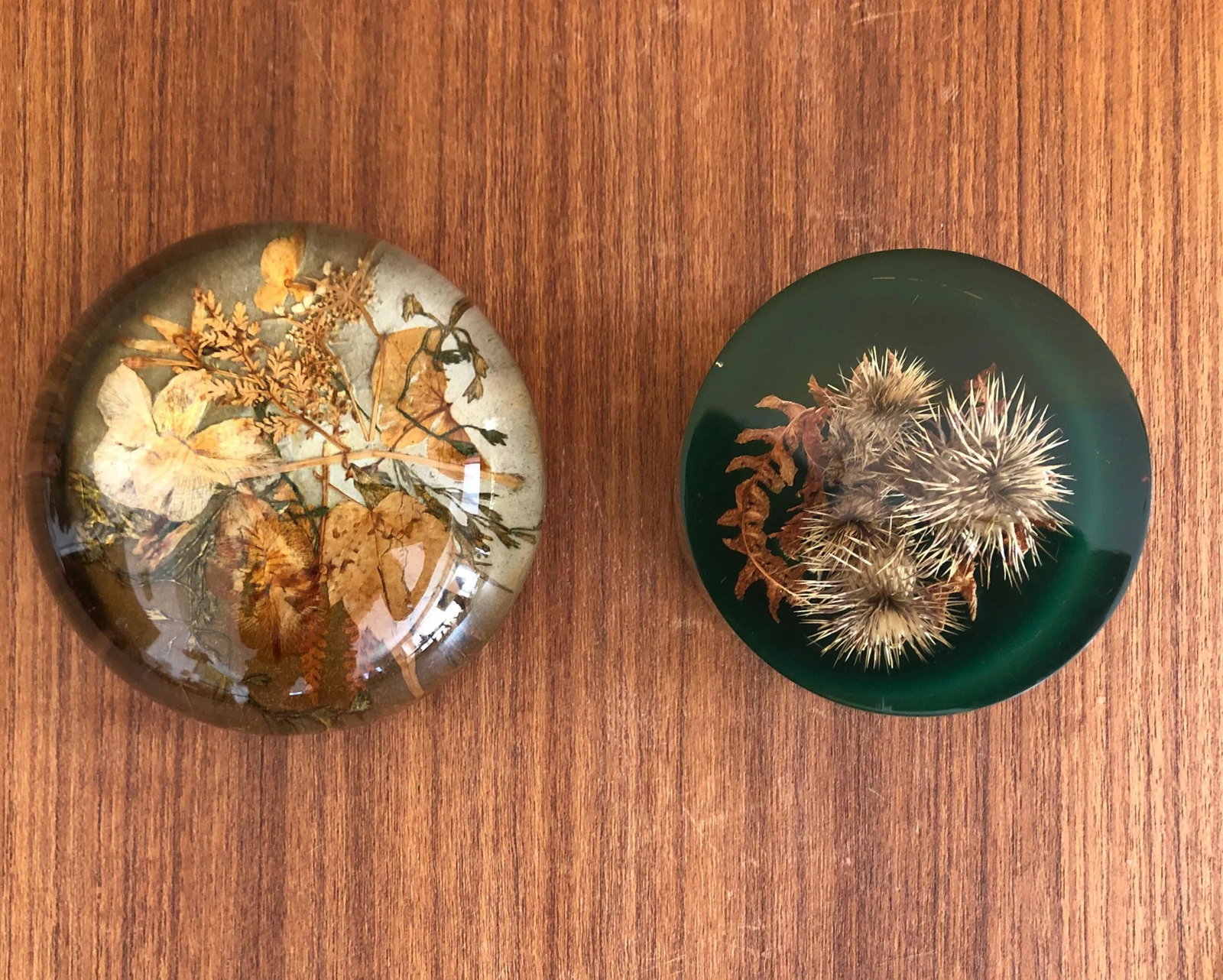 Autumnal Vintage Paperweights - a Pair - 3