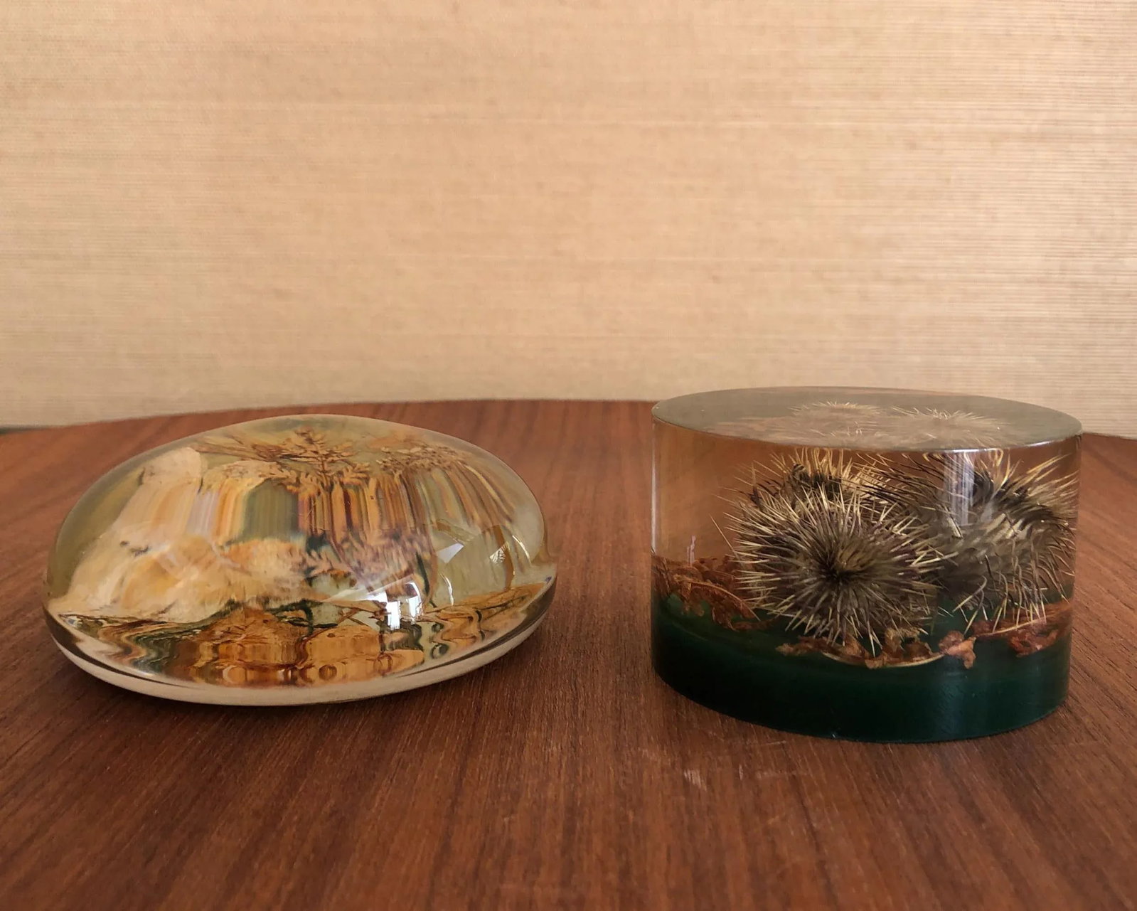 Autumnal Vintage Paperweights - a Pair - 4