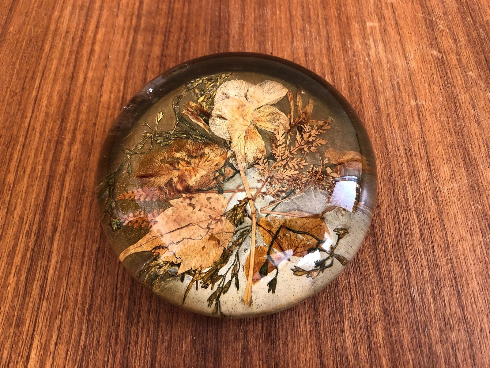 Autumnal Vintage Paperweights - a Pair - 5
