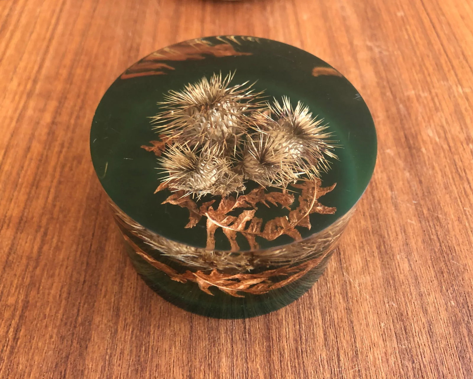 Autumnal Vintage Paperweights - a Pair - 6