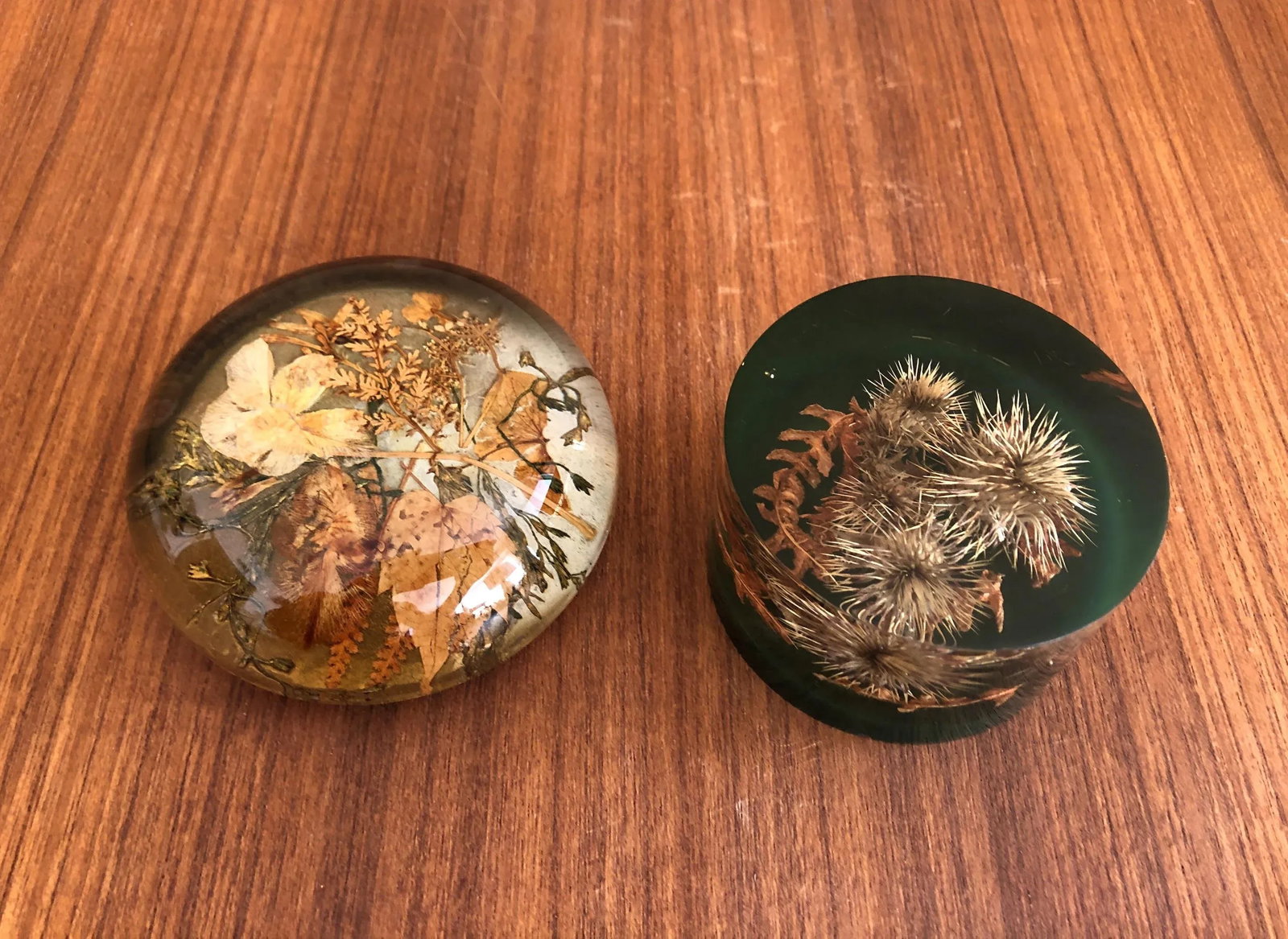 Autumnal Vintage Paperweights - a Pair - 8