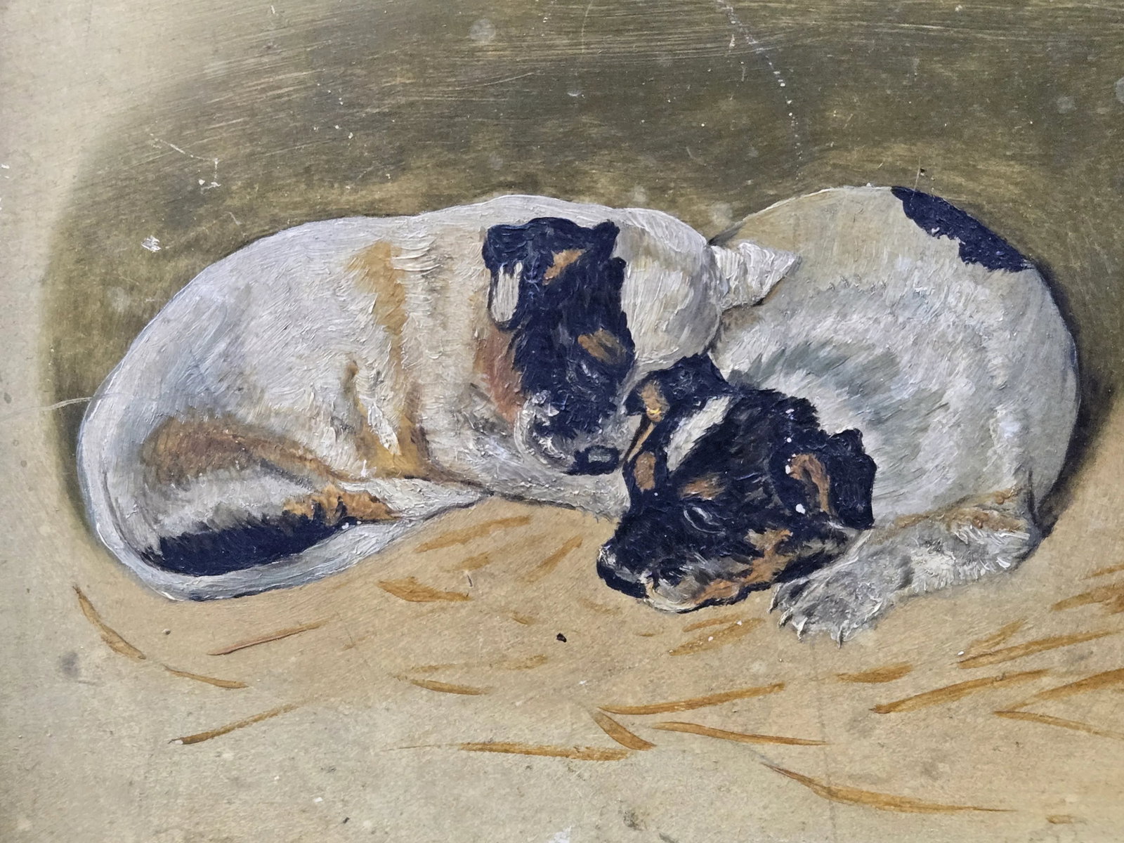 1950s Vintage Painting of Four Terrier Puppies, Framed - 3