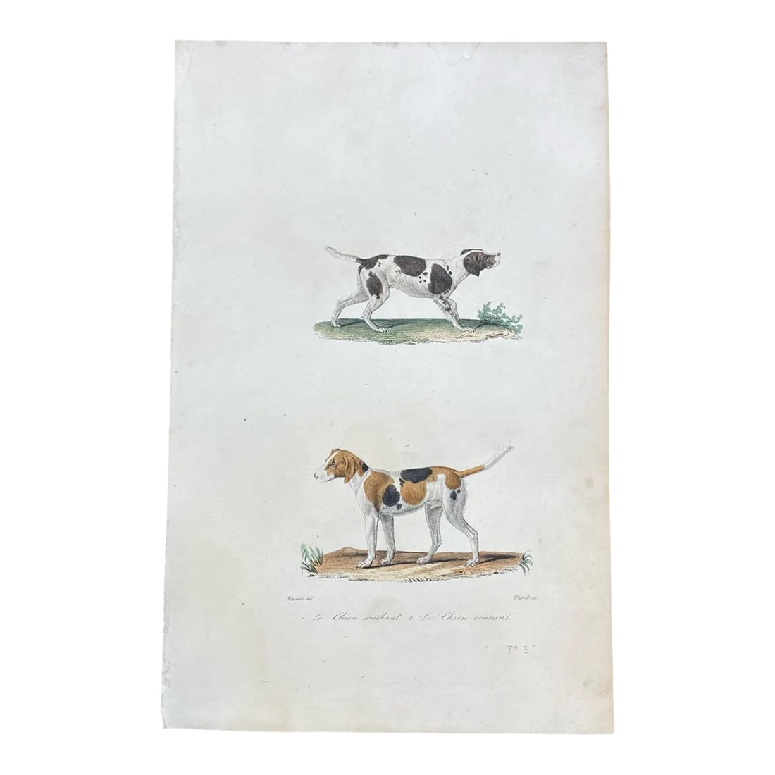 French Antique 18th Century "Le Chien Couchant" Dog Engraving Hand Colored Signed Artwork: Super high quality in this lovely historical French 18th Century le chien couchant "the sleeping dog" engraving! Signed Meunier del and Thorel Sc. Bought in France near Paris. Many available, priced