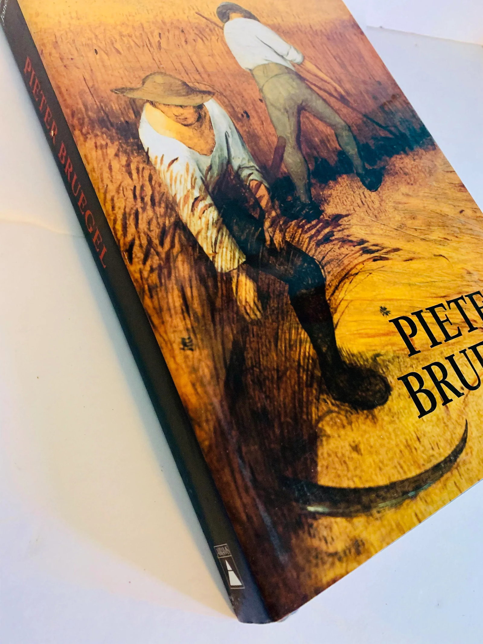 Hardcover Pieter Bruegel Coffee Table Art Book - 2