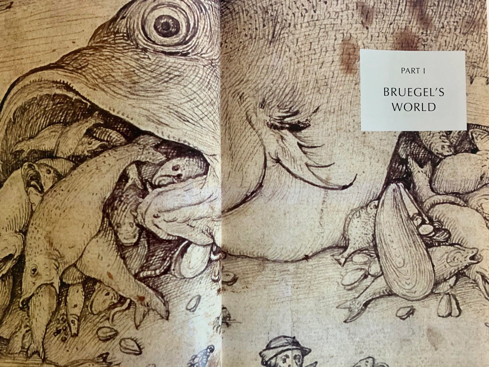 Hardcover Pieter Bruegel Coffee Table Art Book - 5
