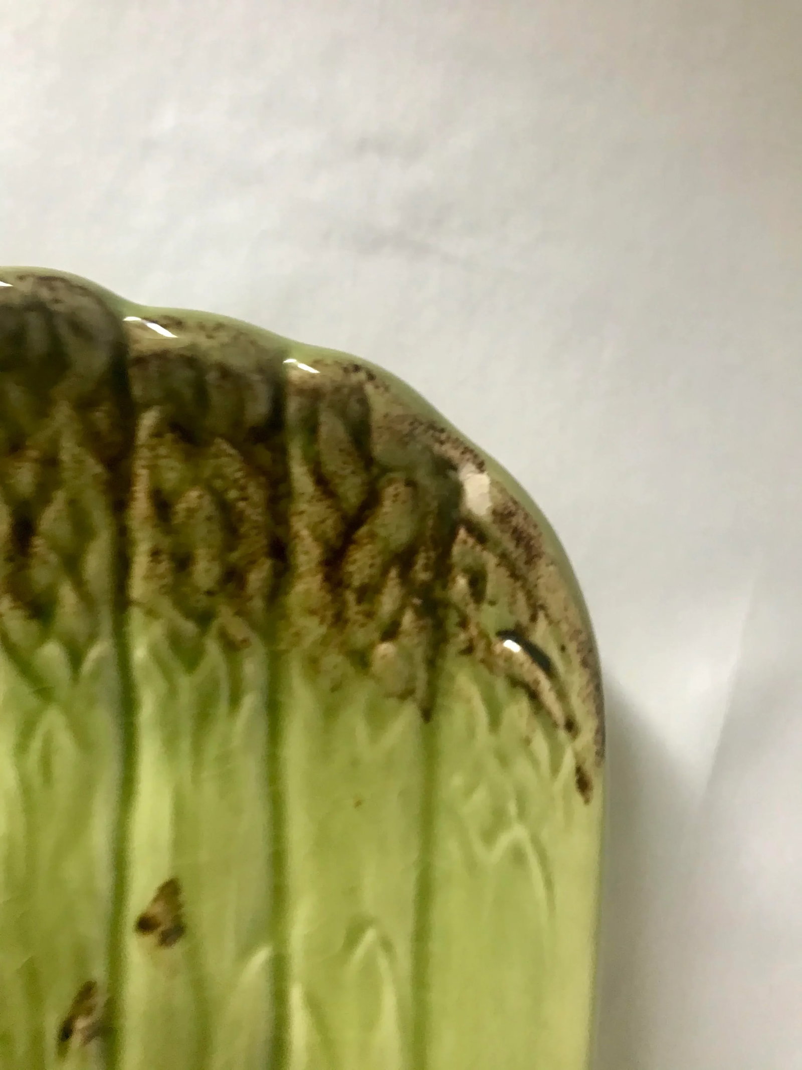 Vintage Portuguese Majolica Asparagus Dish - 5