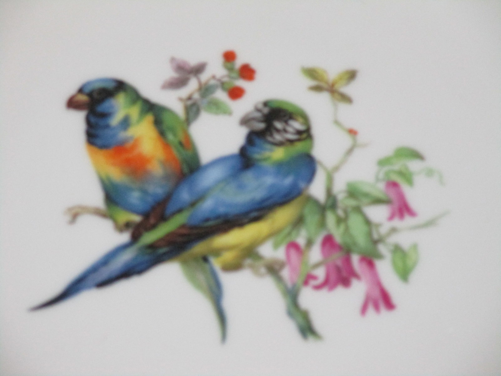 1960s Mottahedeh Parrots on a Branch Plate - 2