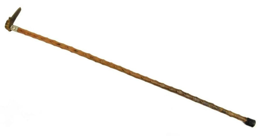 Early 20th Century Hand Carved Italian Greyhound Walking Cane - 11