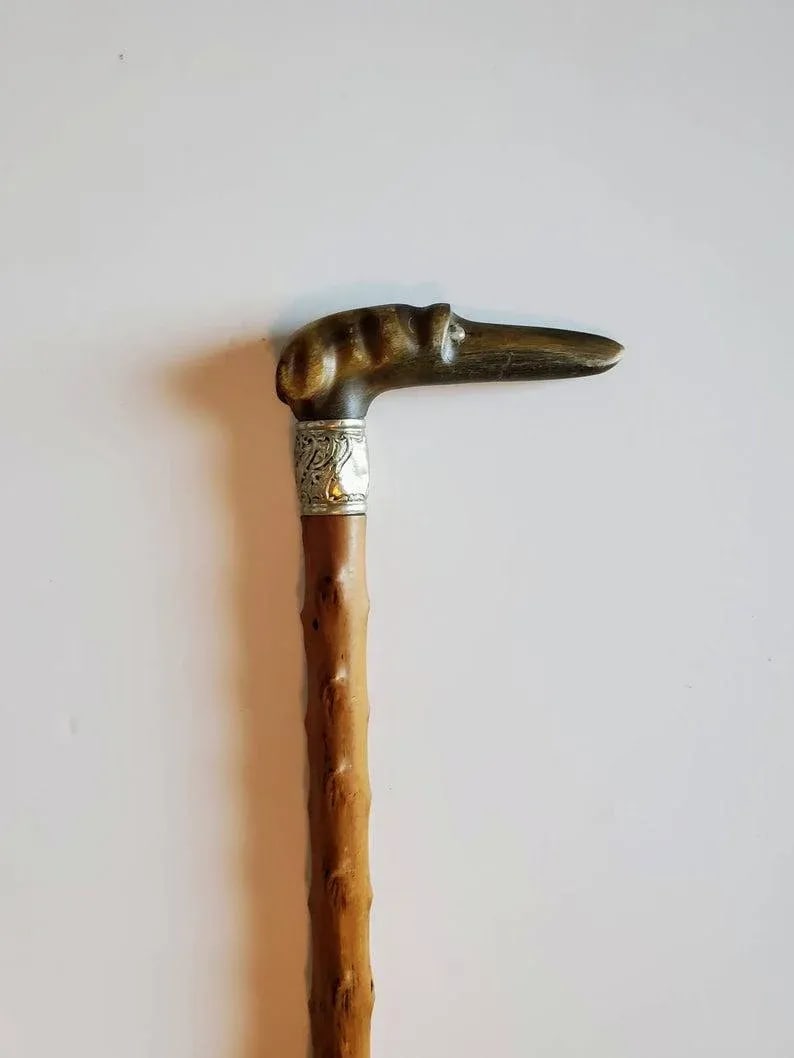 Early 20th Century Hand Carved Italian Greyhound Walking Cane - 4