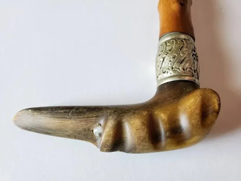 Early 20th Century Hand Carved Italian Greyhound Walking Cane - 6