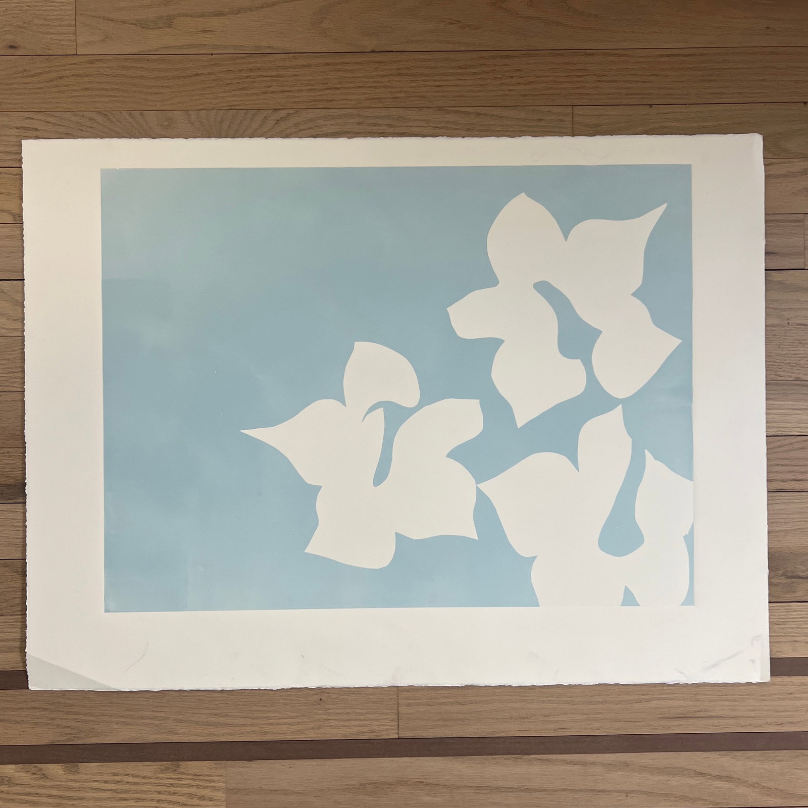 Original Signed 2026 Abstract Botanic Monotype Artwork Light Blue, Unframed 18 X 24 - 2