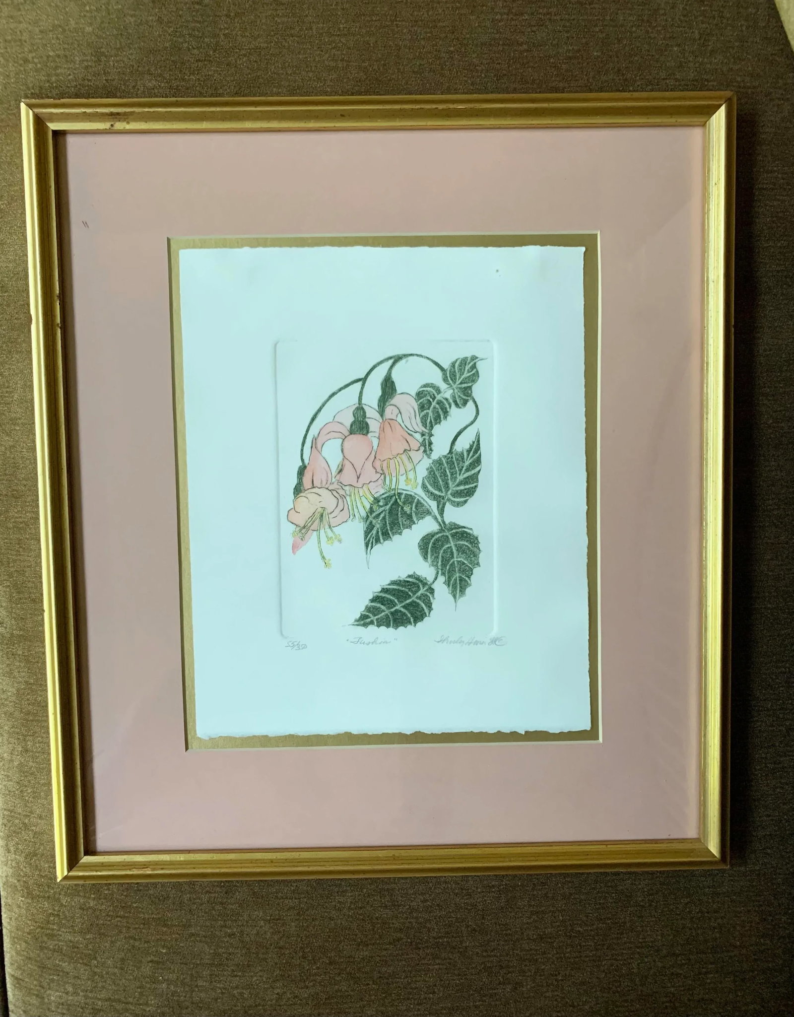 1988 "Tushia" Botanical Etching by Shirley Hiner, Framed - 10