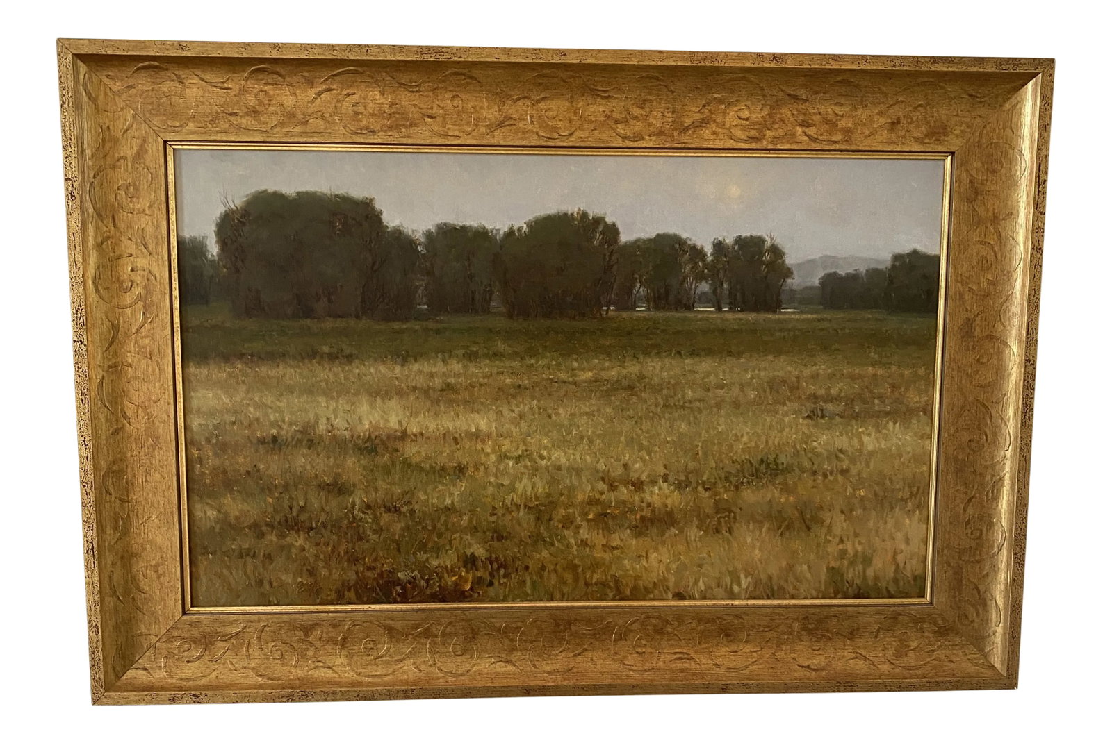 "In the Mist" Contemporary California Plein Air Landscape Painting by Carole Cooke, Framed: Fabulous large framed oil on linen by noted plein air artist Carole Cooke. Featuring a vast golden field dotted with cottonwoods, under a moonlit pale blue sky. Nice brushwork. Professionally framed
