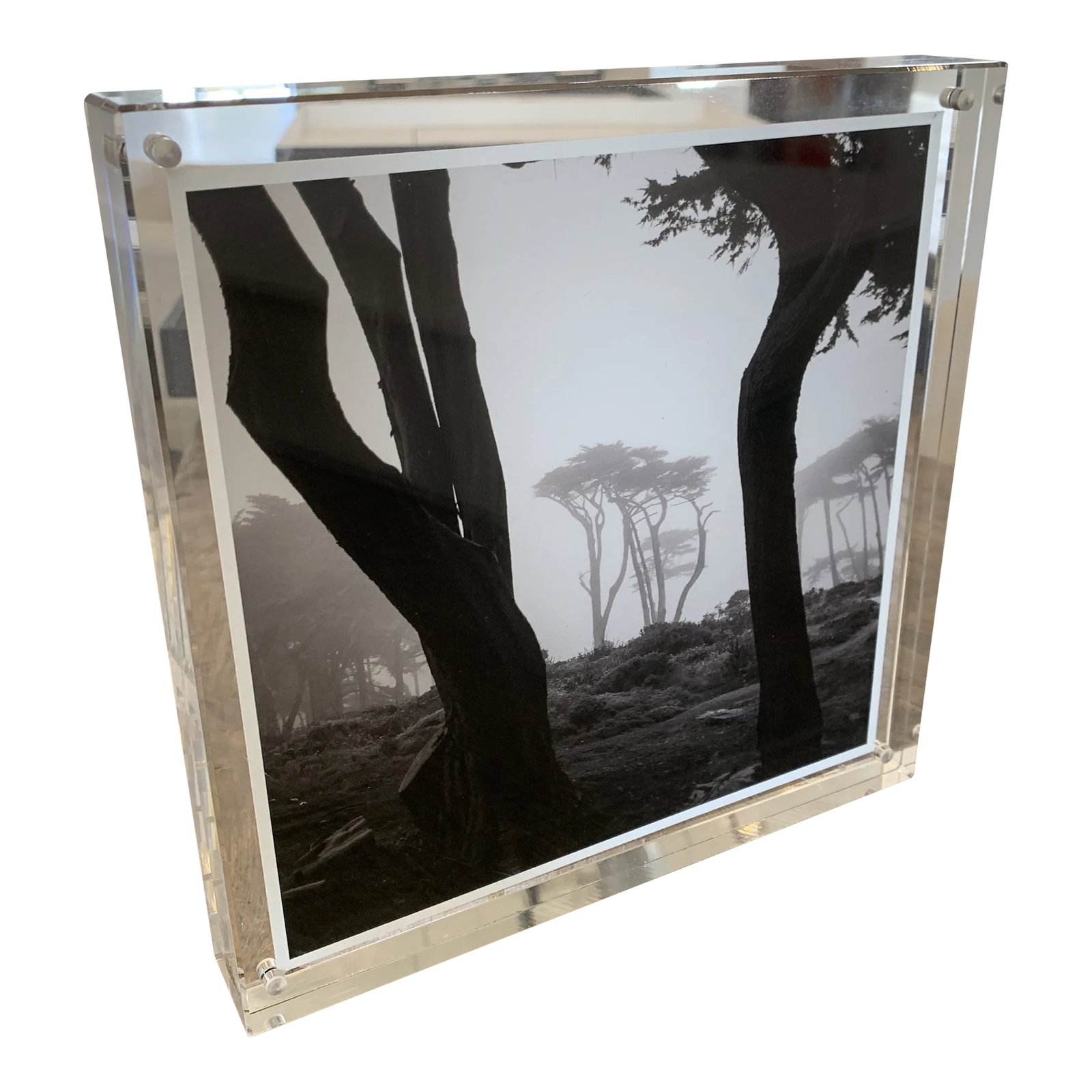 "Lands End" Contemporary Black and White Landscape Photograph in Standing Lucite by Rob Brinson: Limited Edition Prints Trees in Northern California "lands end" misty day in Cali Signed on the Reverse Comes with thick Standing Lucite Frame Magnetic Closure Condition: Imperfections: No Imperfectio