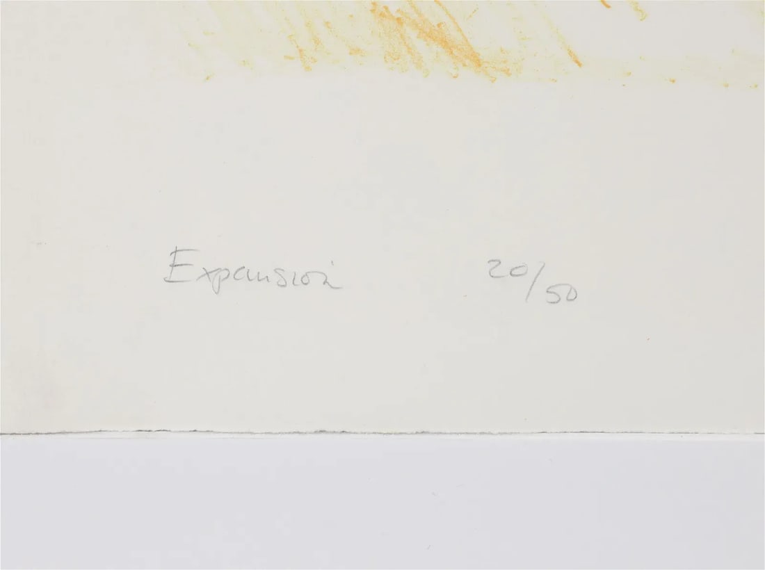 Large Susan Crile Expansion 1981 Modern Abstract Signed Lithograph - 4