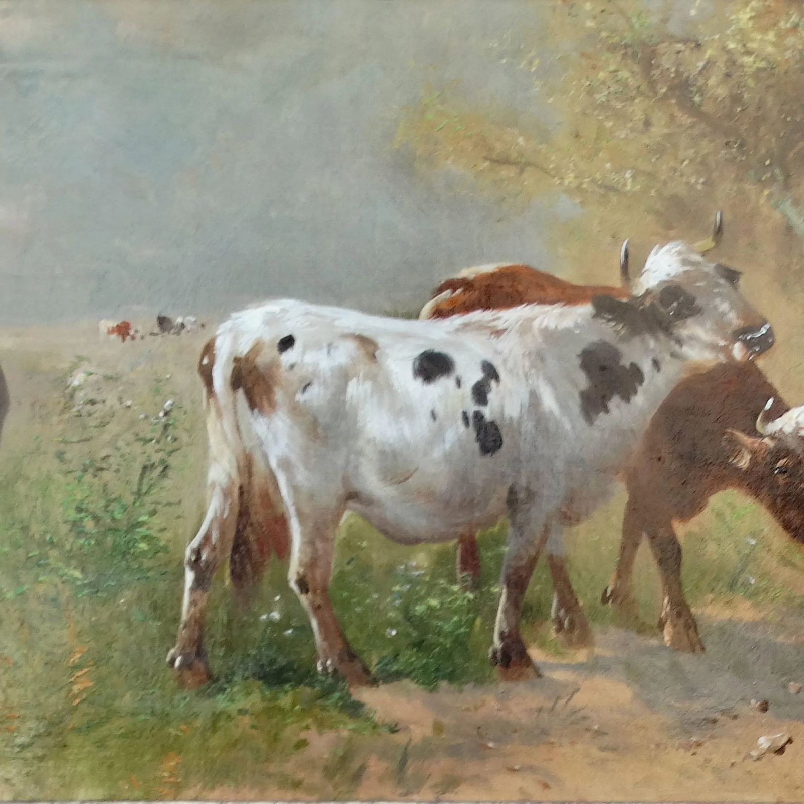 Cattle Oil Painting, Henri Schouten 1860-1927 - 2