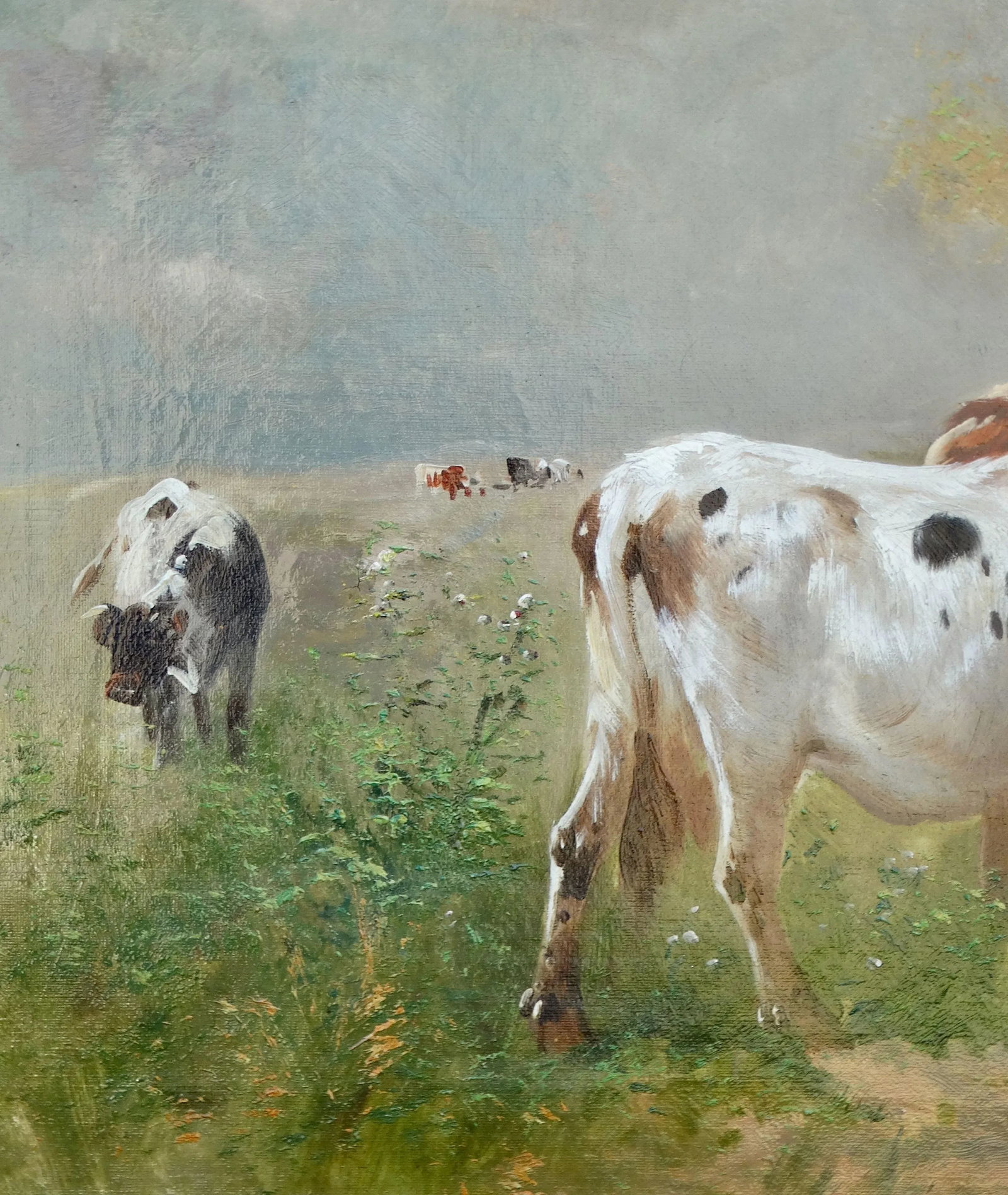 Cattle Oil Painting, Henri Schouten 1860-1927 - 3