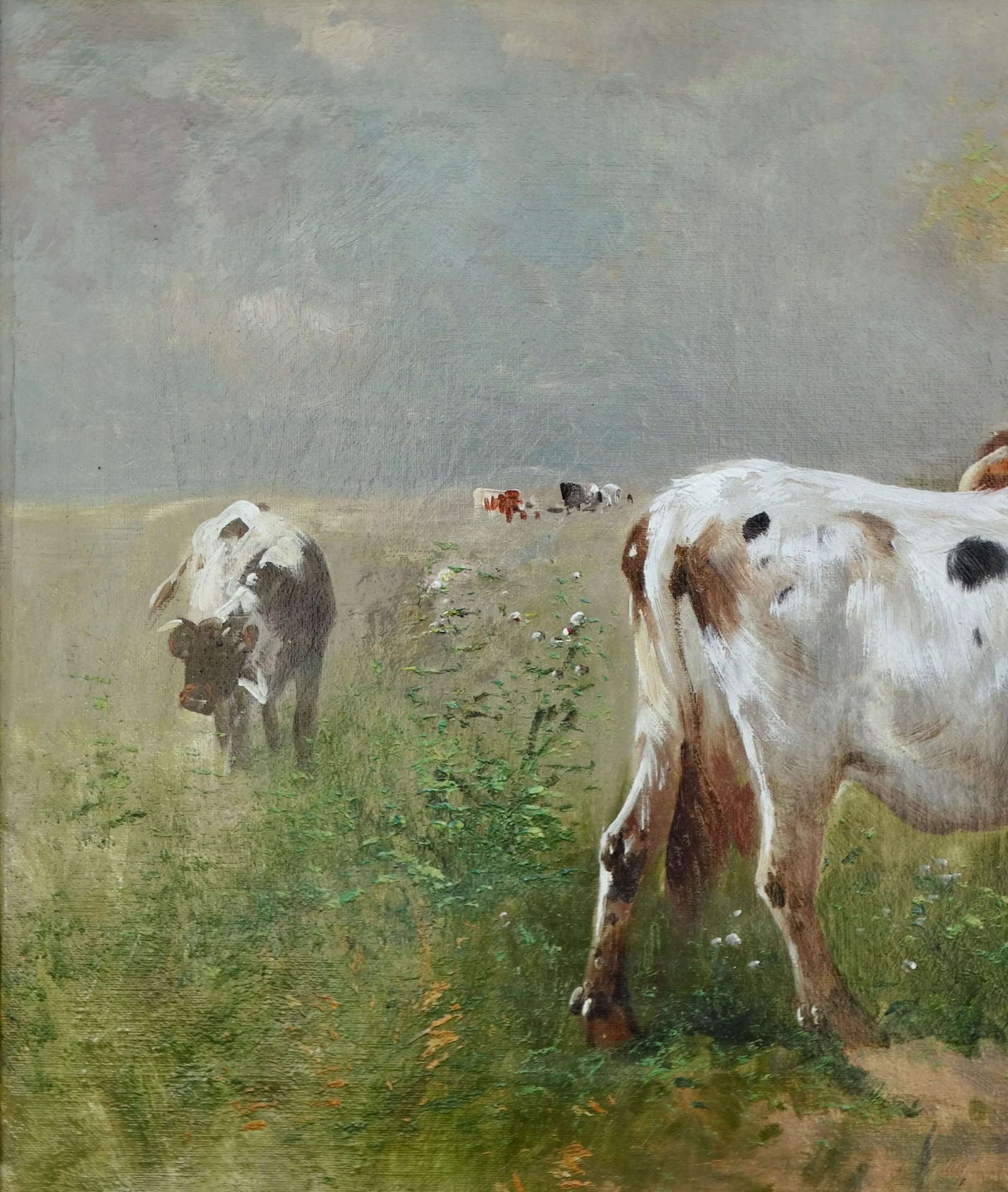 Cattle Oil Painting, Henri Schouten 1860-1927 - 7