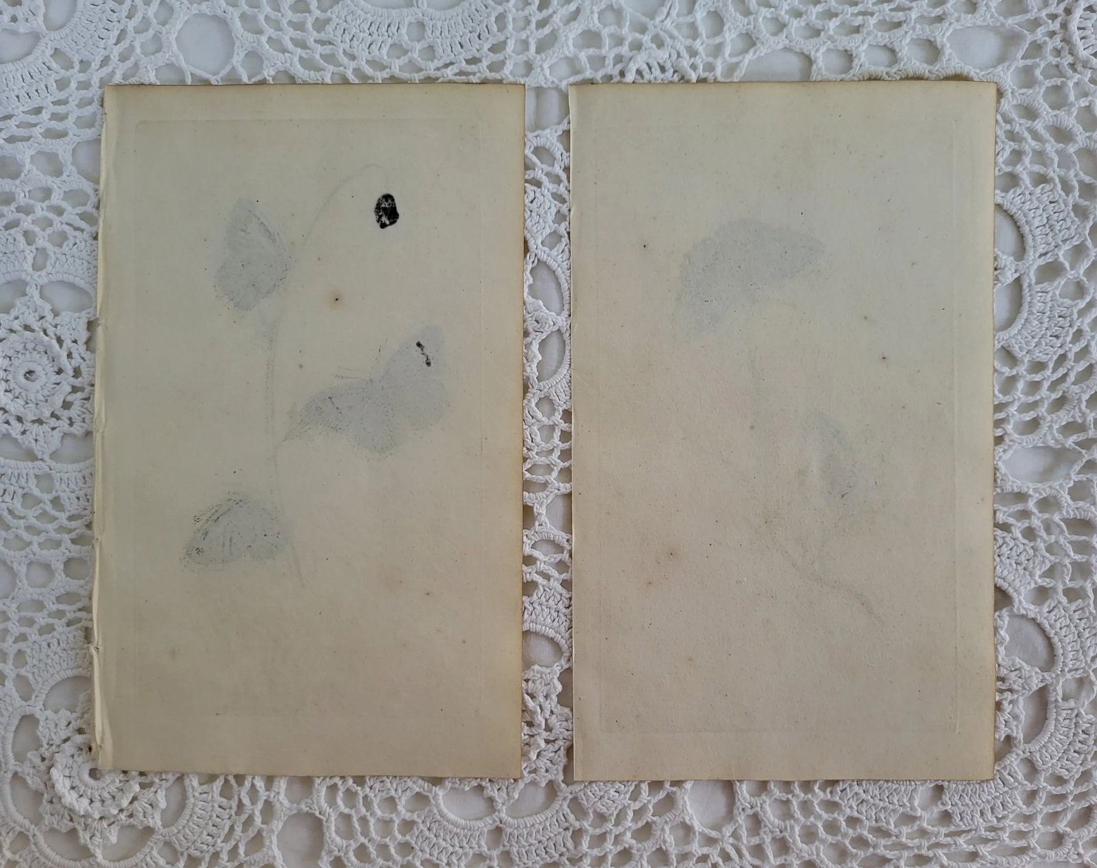 Pair of Antique Butterfly Prints From the Natural History of Insects, Ca 1790s London - 2