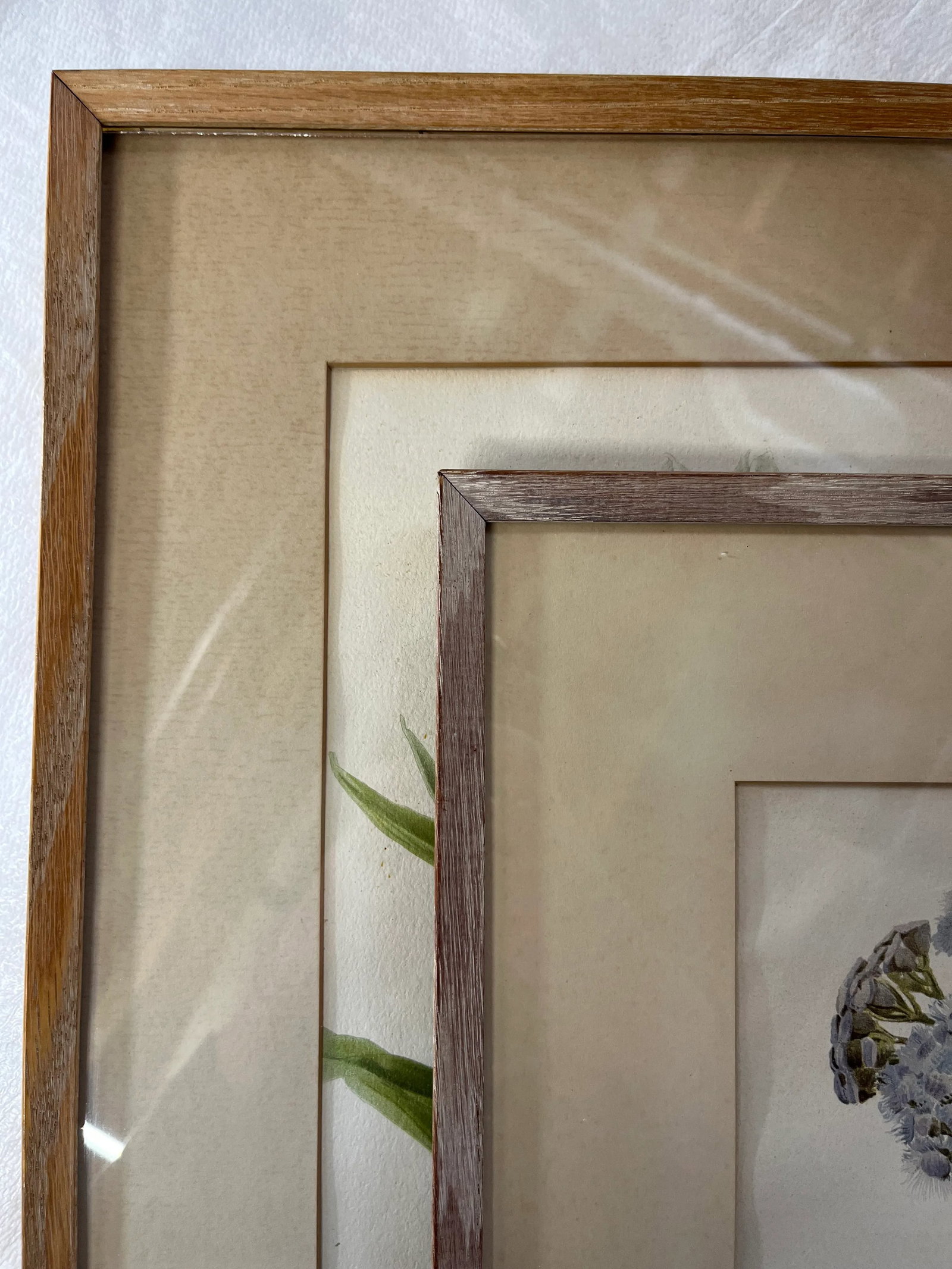 Floral Prints in Light Wood Frame a Pair - 11