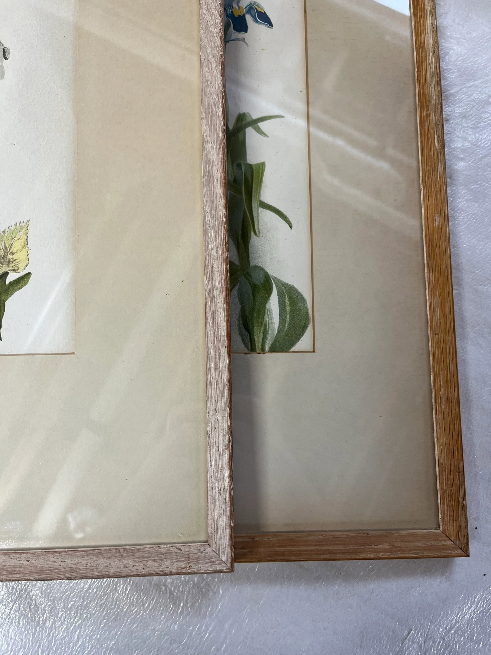 Floral Prints in Light Wood Frame a Pair - 12