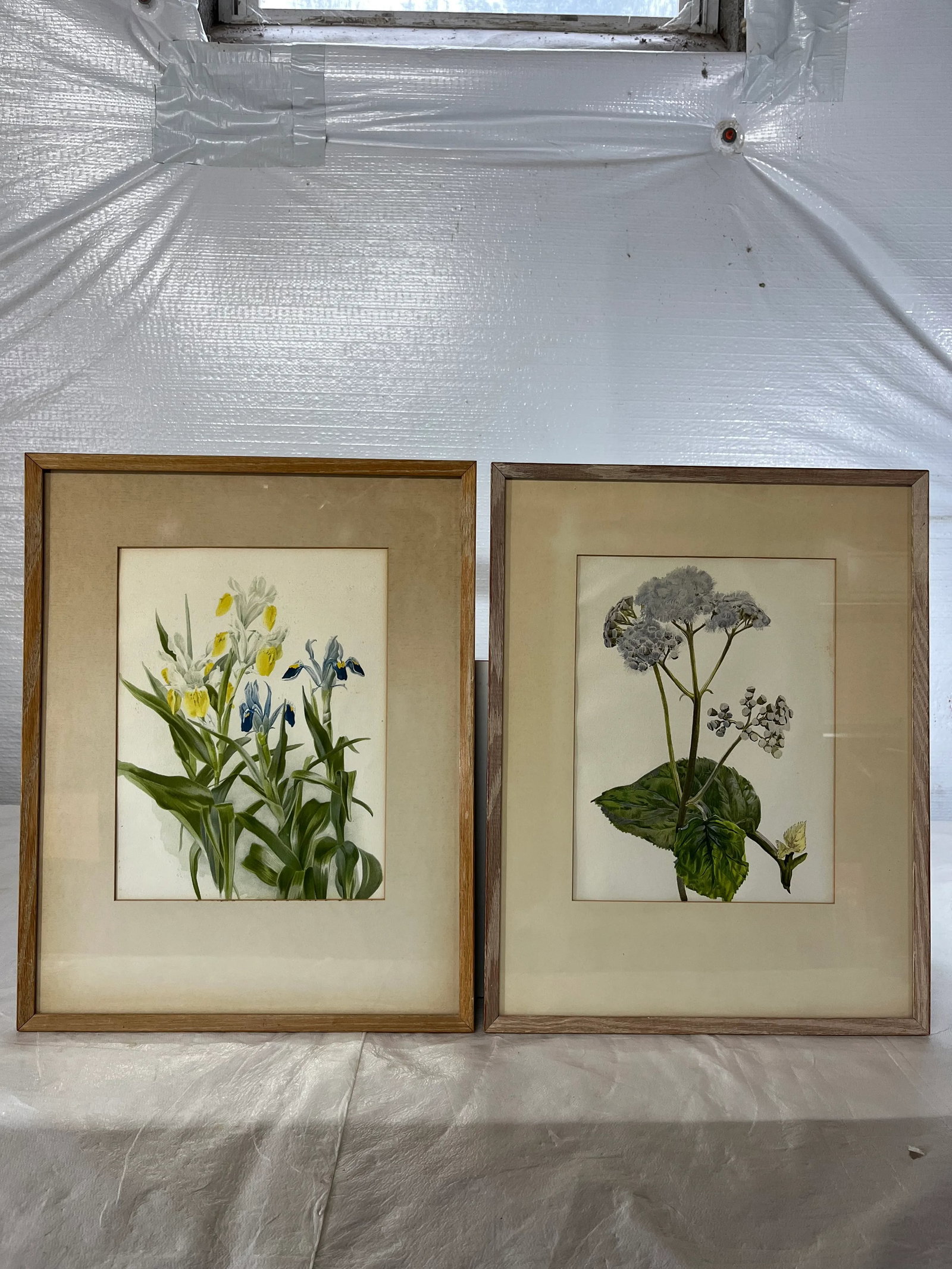 Floral Prints in Light Wood Frame a Pair - 13