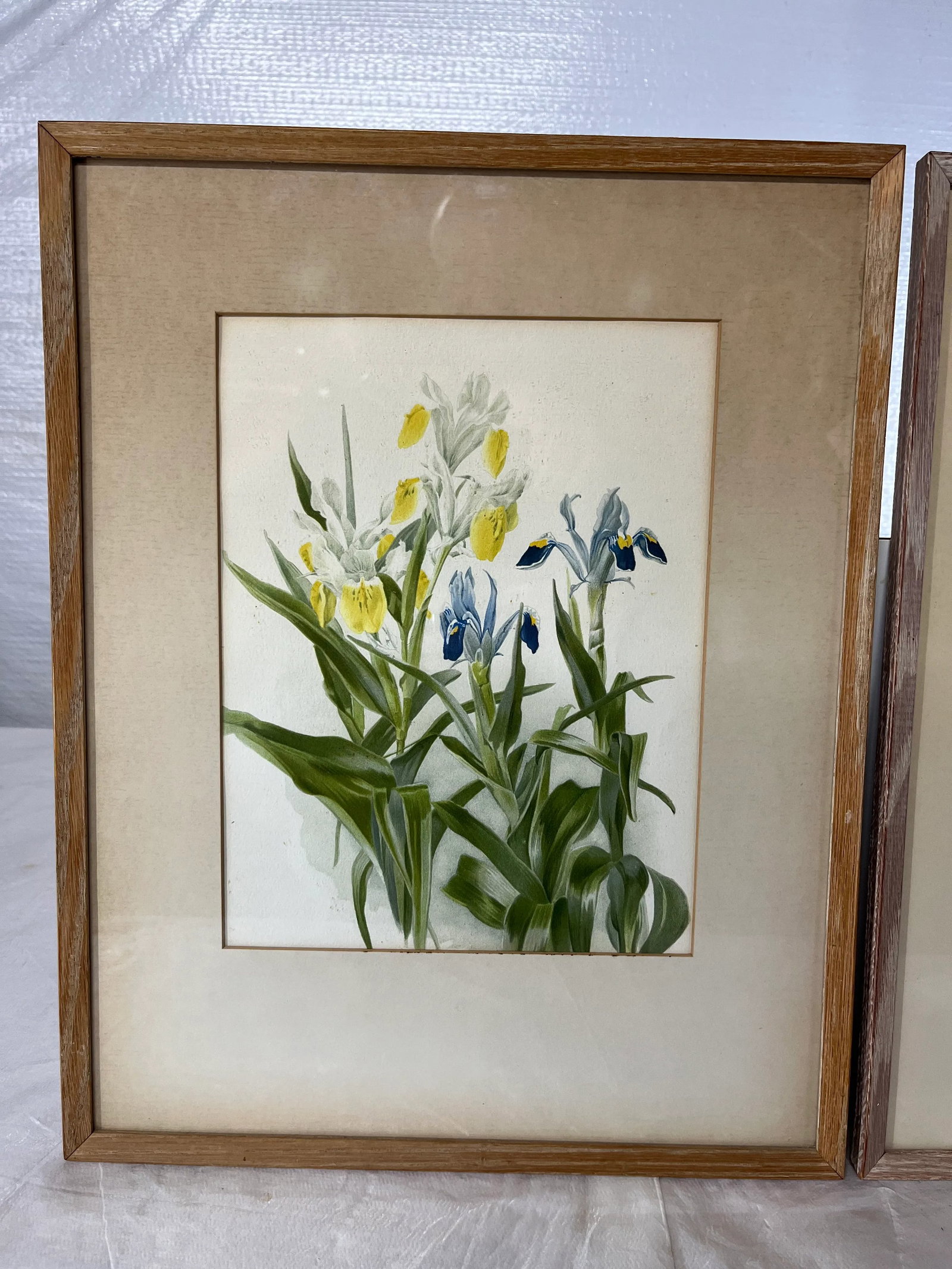 Floral Prints in Light Wood Frame a Pair - 2