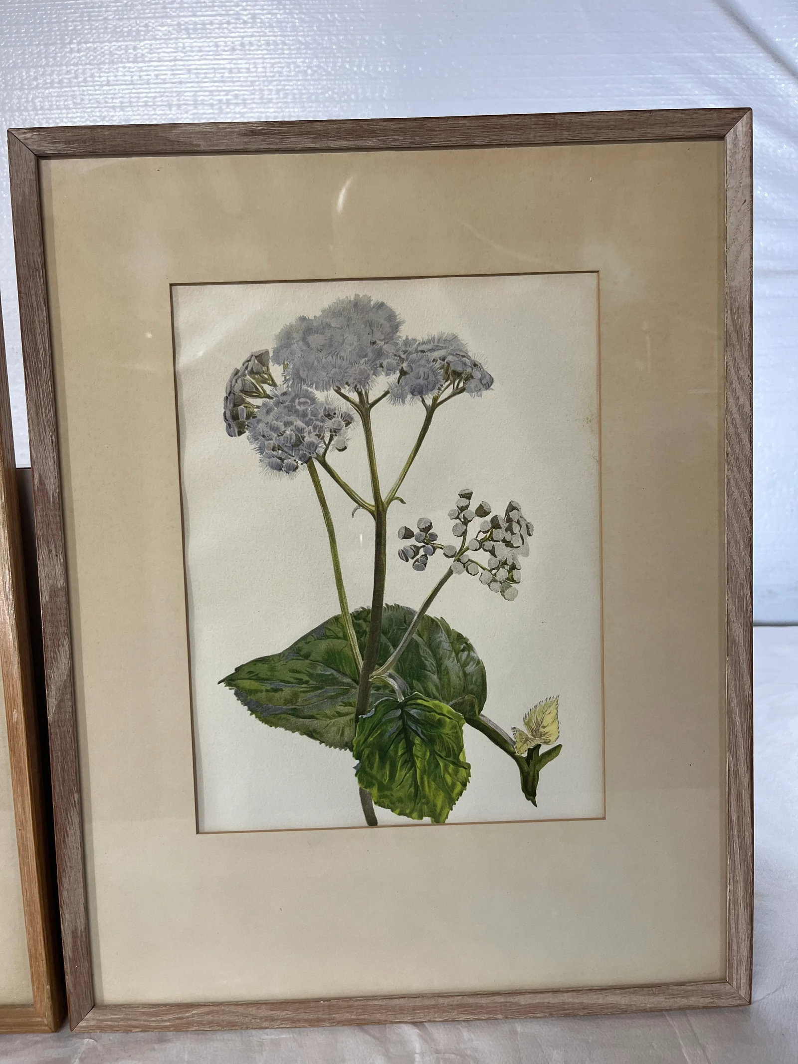 Floral Prints in Light Wood Frame a Pair - 3