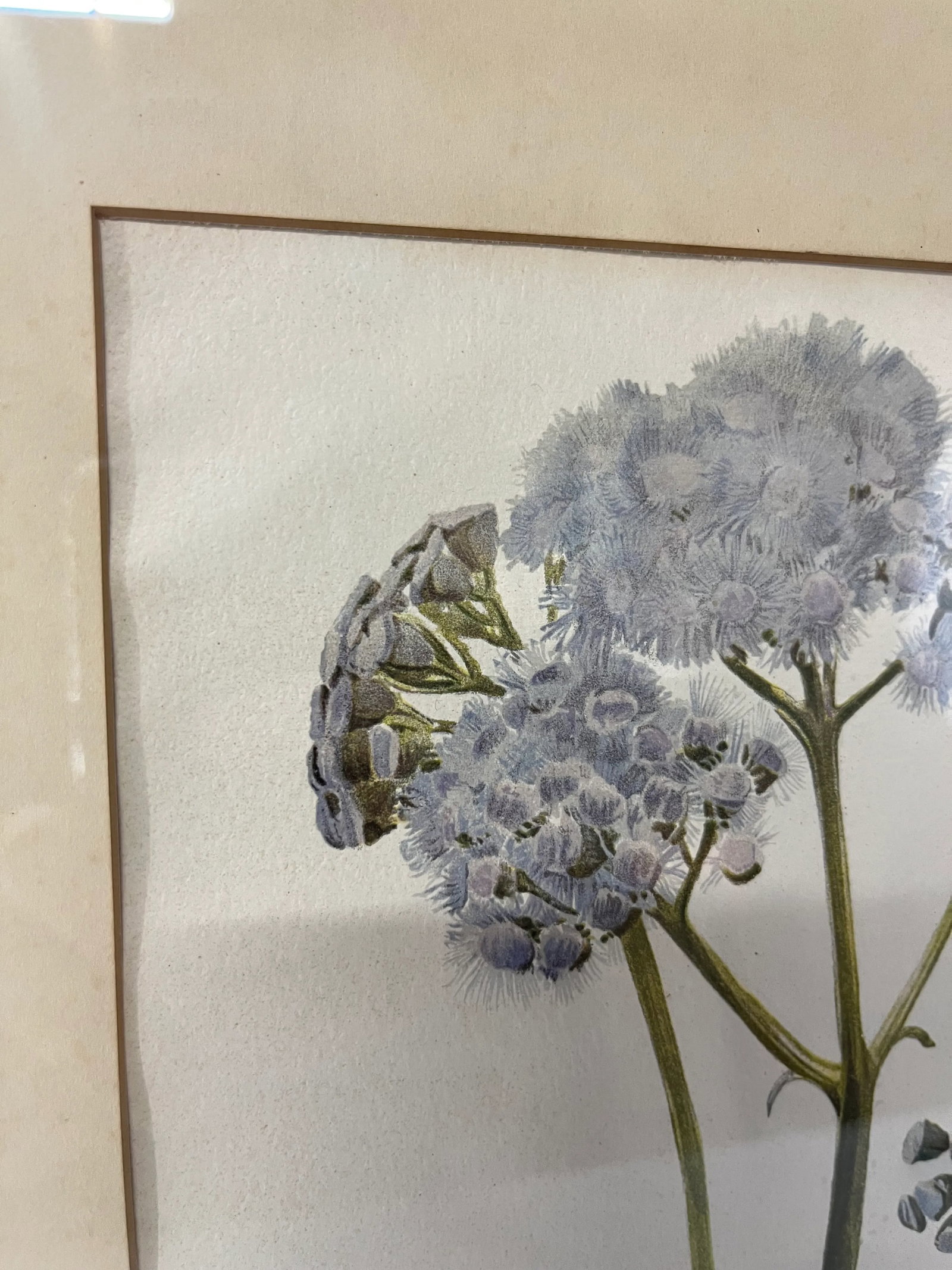 Floral Prints in Light Wood Frame a Pair - 5