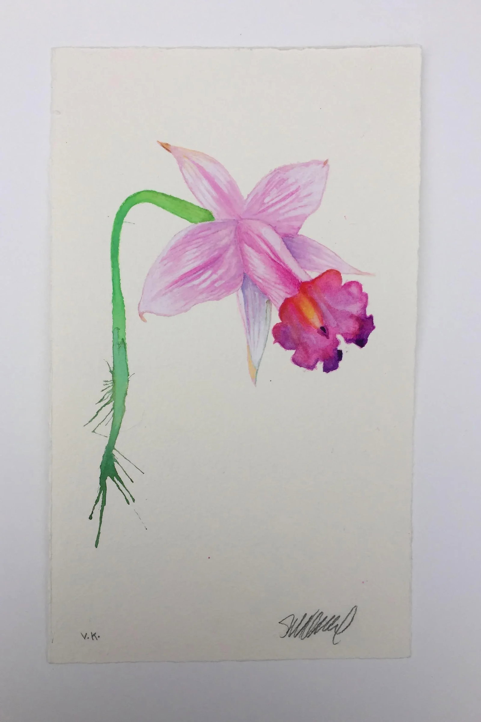 "Daffodil Kiss" Original Watercolor Painting - 2