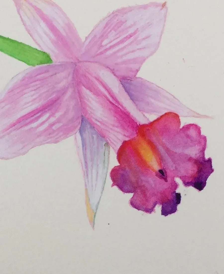 "Daffodil Kiss" Original Watercolor Painting - 3