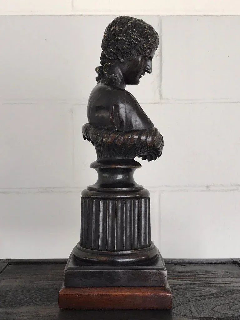 Early 20th Century Grand Tour Style Bronze Bust of Clytie - 10