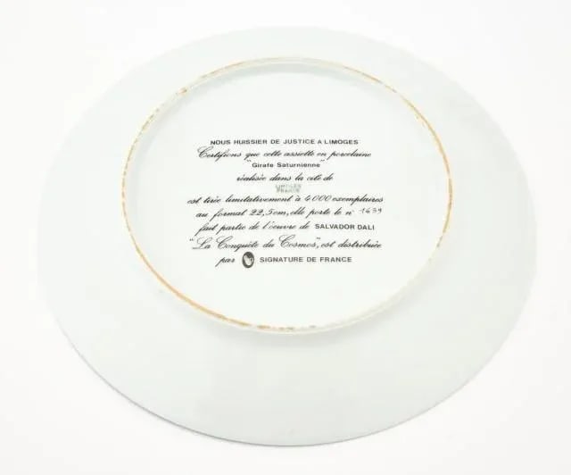 Salvador Dali Limoges Porcelain Plates, La Conquete Du Cosmos, Set of 6, 1970s - 13