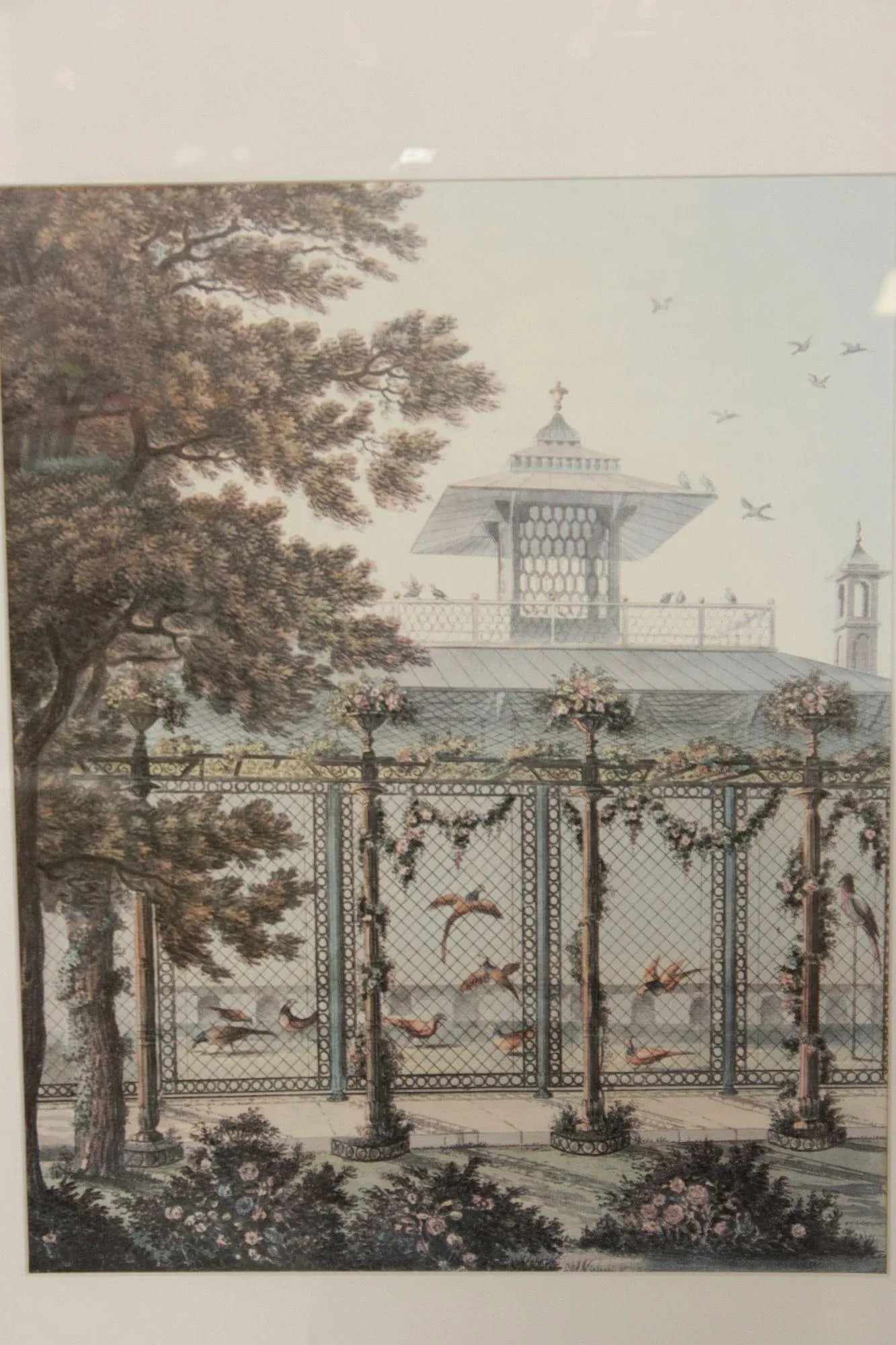 English Georgian Garden and Pheasantry Prints - 7