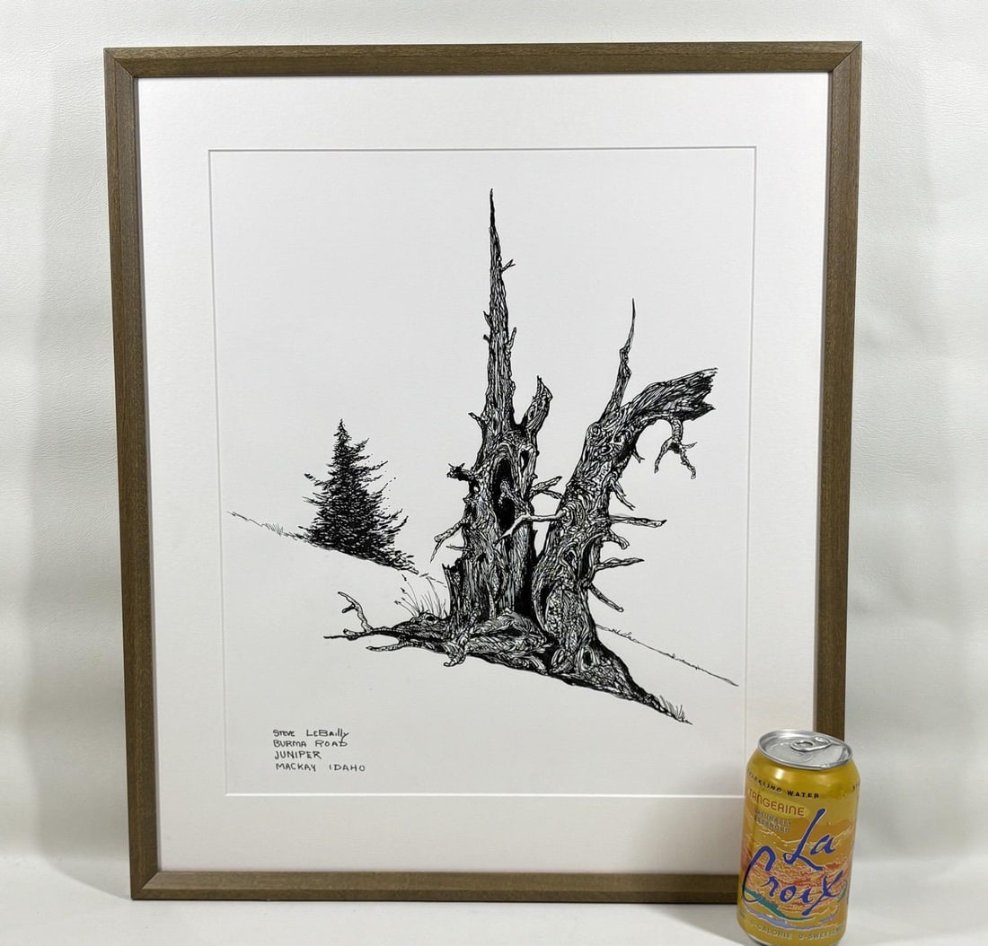 1980s Steve LeBailly Signed Pen & Ink Drawing "Burma Road Juniper" Mackay, Idaho - 2