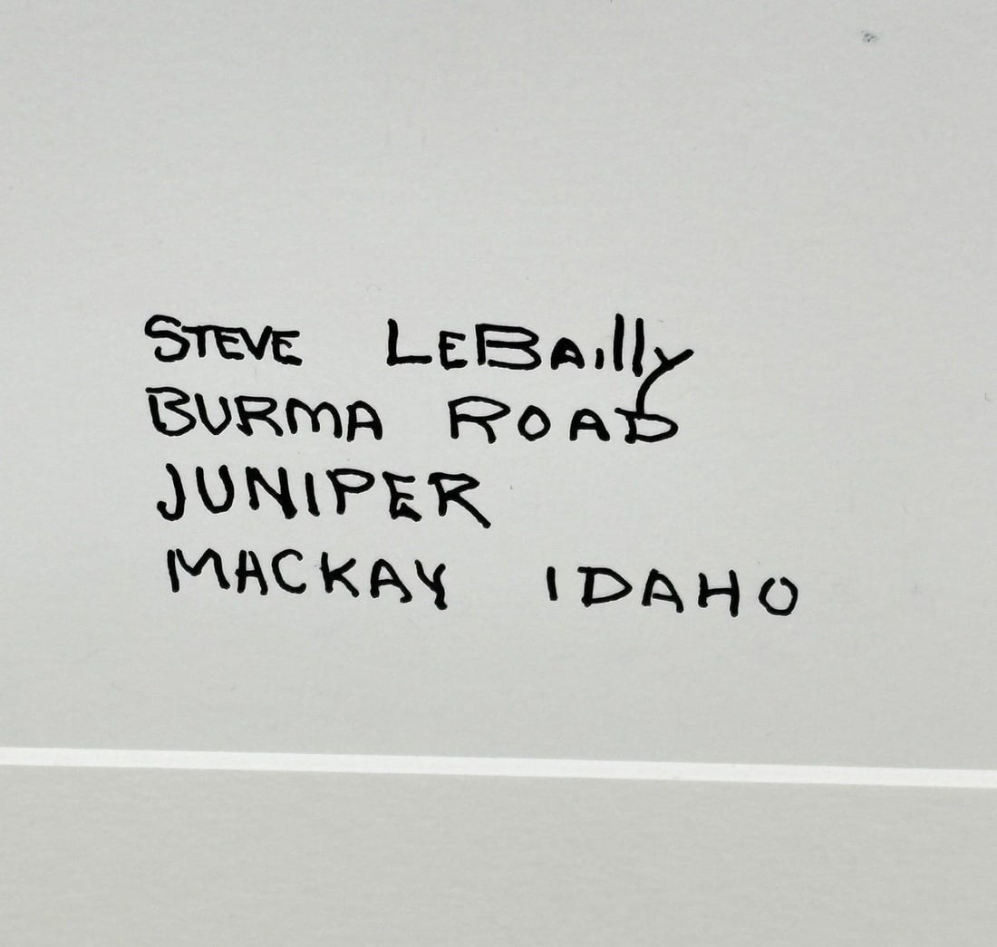 1980s Steve LeBailly Signed Pen & Ink Drawing "Burma Road Juniper" Mackay, Idaho - 3