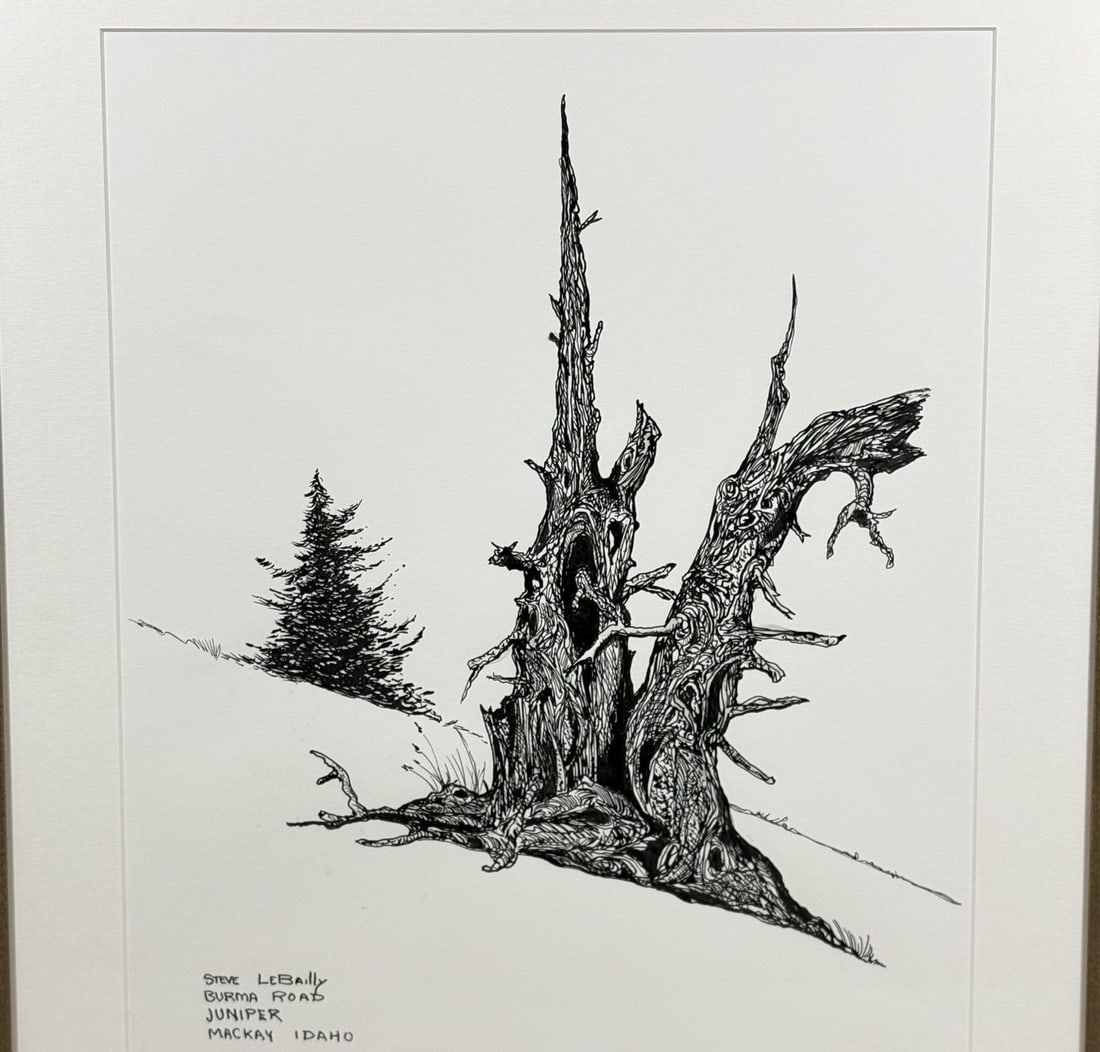 1980s Steve LeBailly Signed Pen & Ink Drawing "Burma Road Juniper" Mackay, Idaho - 4